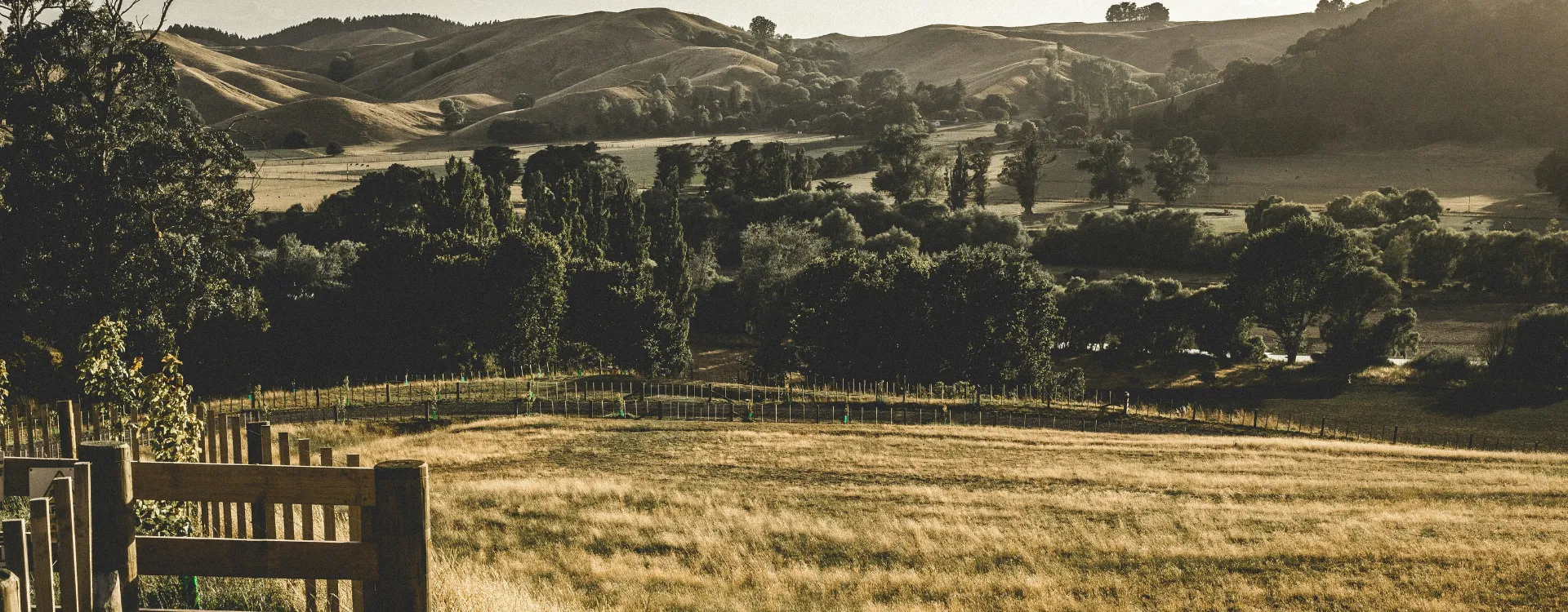 Fields in new Zealand