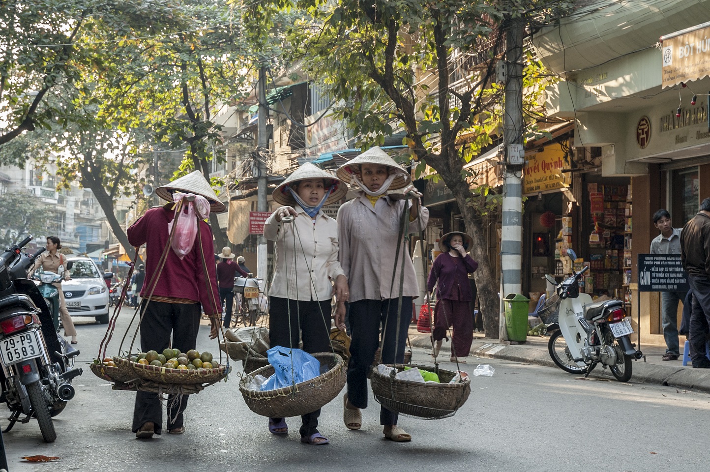 Bot Verification Vietnam travel, Long dong, Travel