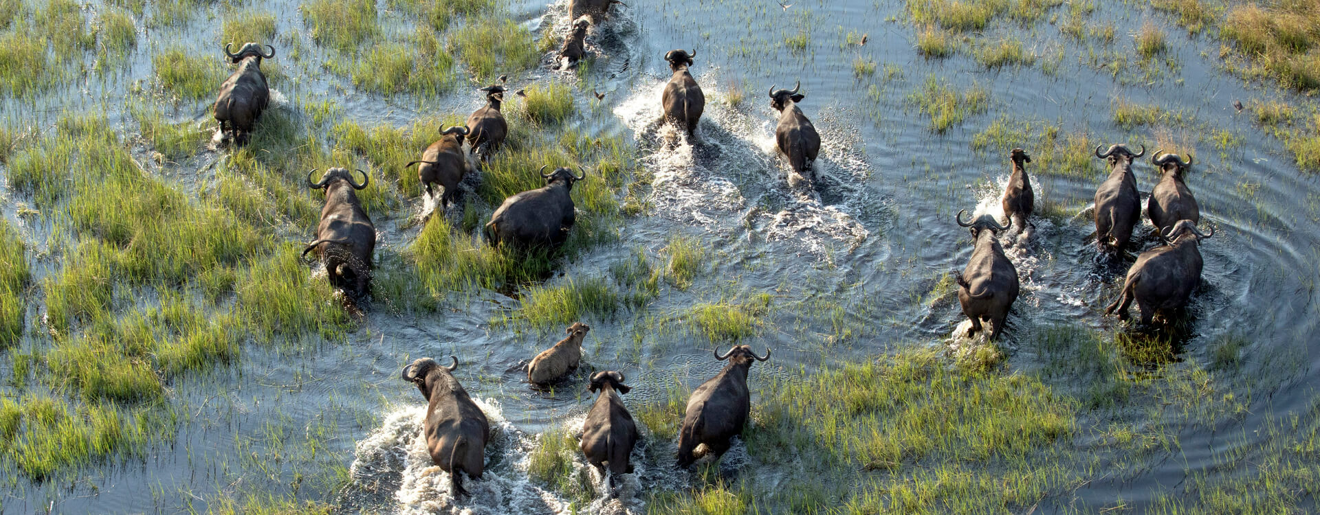 Africa by Lightfoot Travel