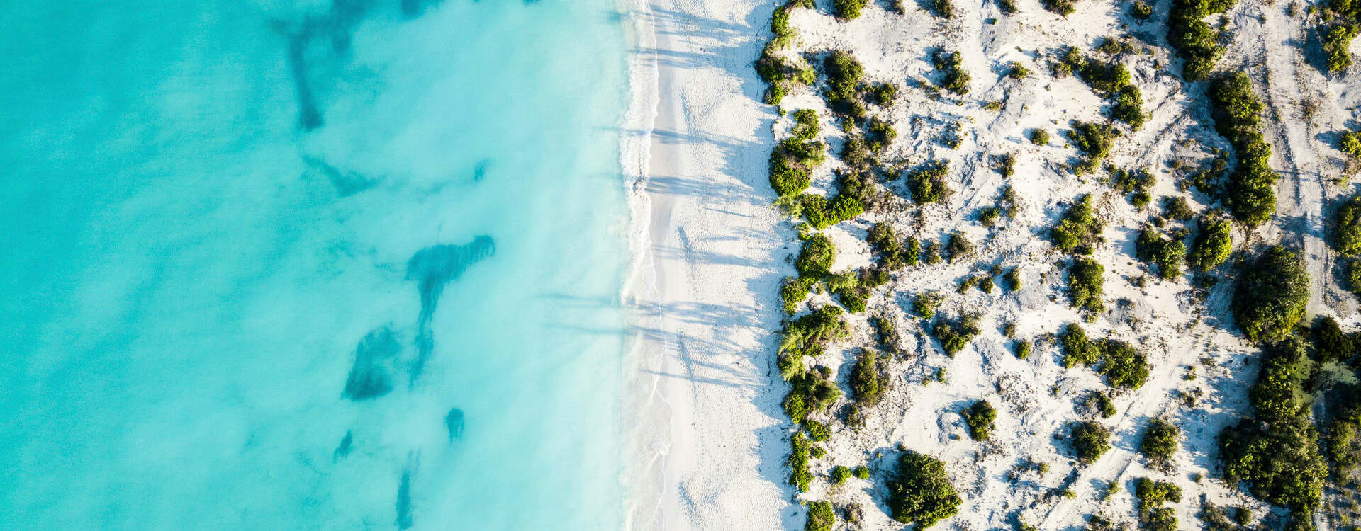 caribbean