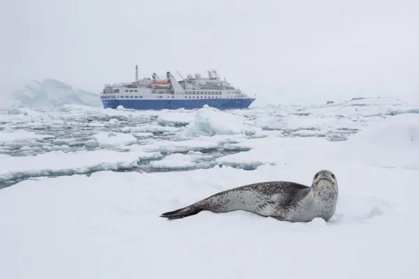 Discoverer Antarctica