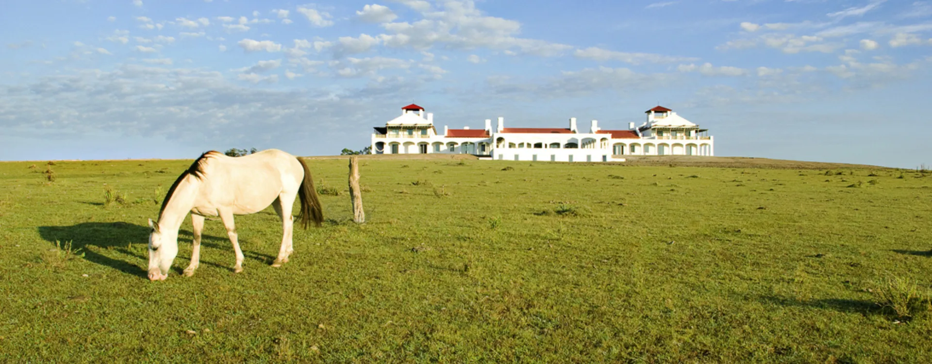Estancia Vik with horse in the foreground, Luxury holidays to Uruguay.