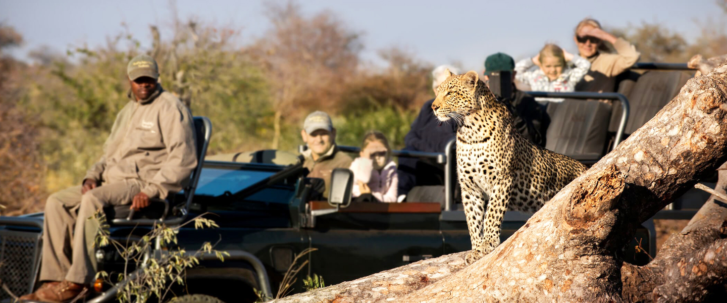 RockFig-Safari-Lodge_Game-Drive-with-Leopard3_Out-on-safari